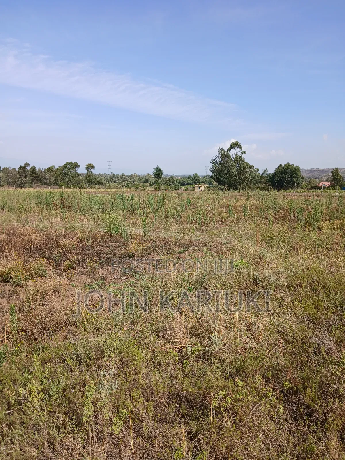 50x100 Plots in Naivasha Nyamathi 900 Metres From the Tarmac Road