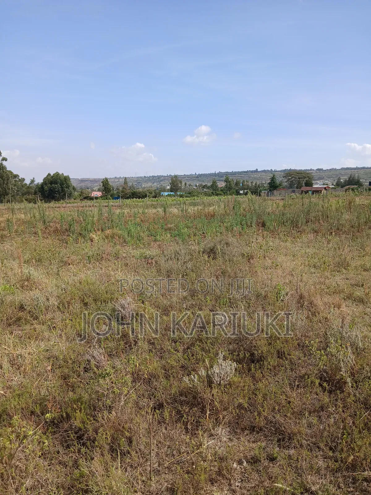 50x100 Plots in Naivasha Nyamathi 900 Metres From the Tarmac Road