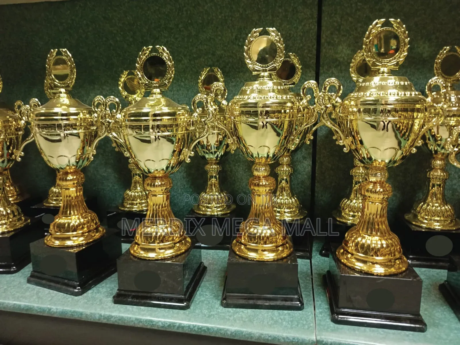 Ms01m14,Trophies, Trophy