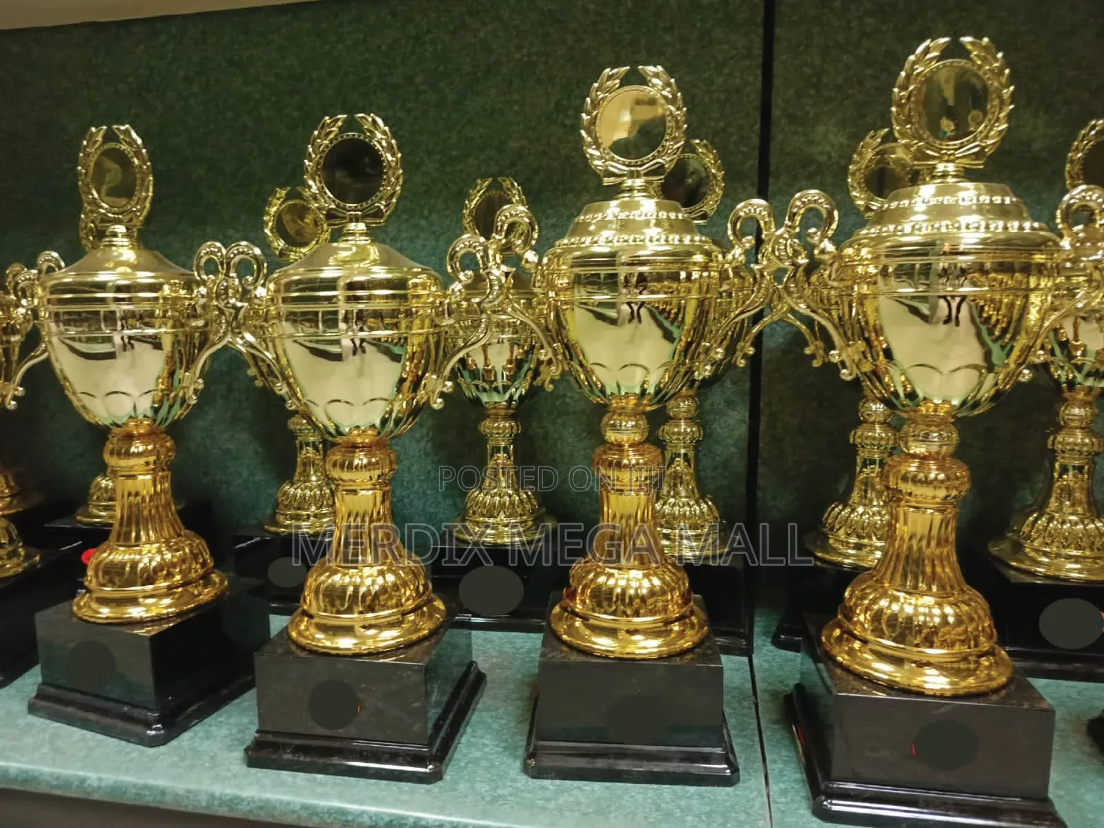 Ms01m14,Trophies, Trophy