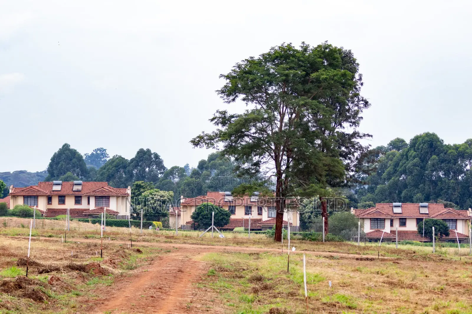 Prime 1/4 Acre Plots for Sale in Thika – Gated Community Living!