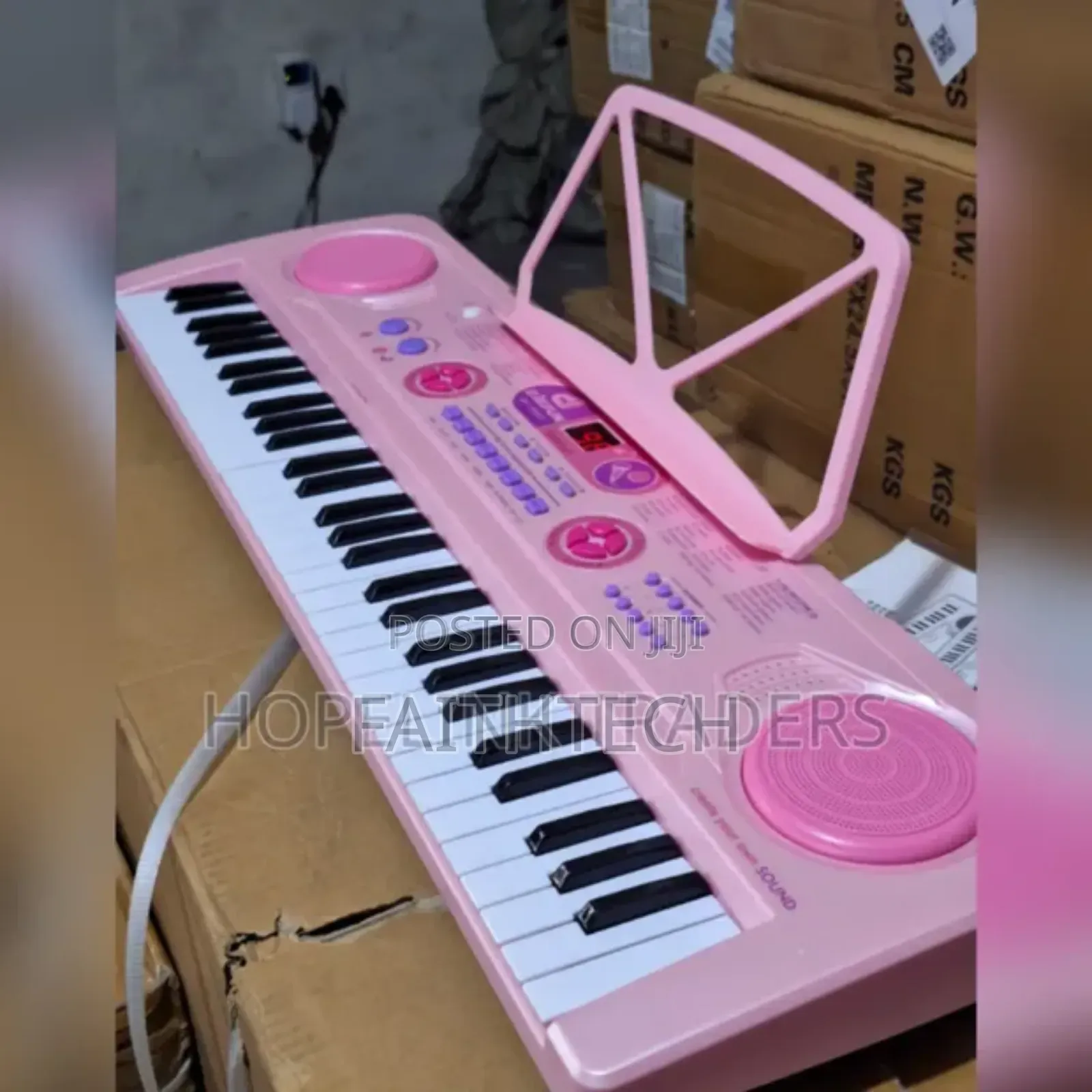 Professional Piano With in Built Battery