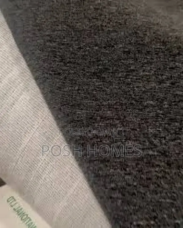 Soft Surface Quality Wall to Wall Carpet