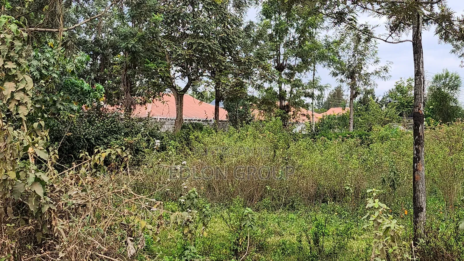 Matasia -Ngong Plots