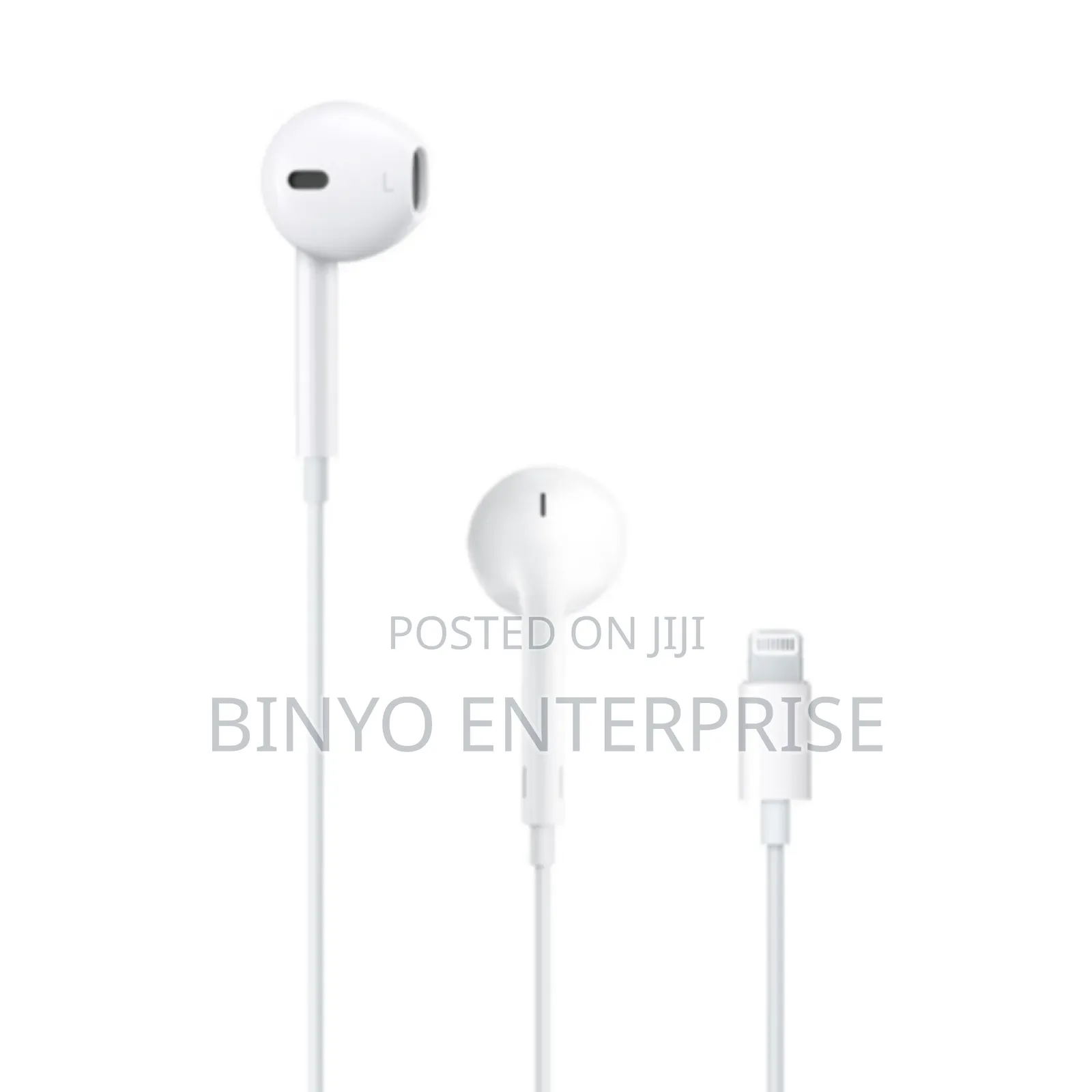 iPhone Original Earphones