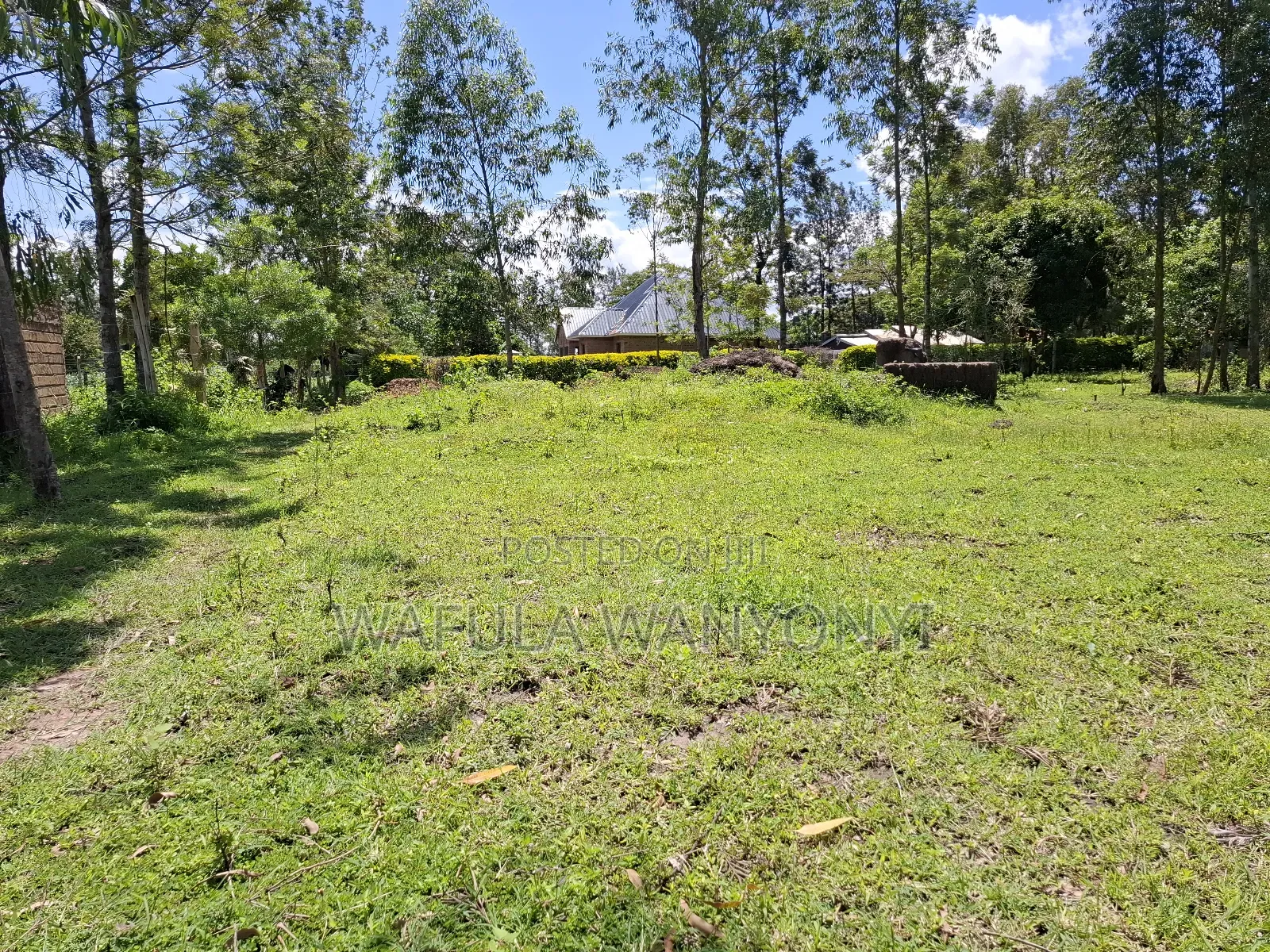 100 by 100 Kocholia Busia