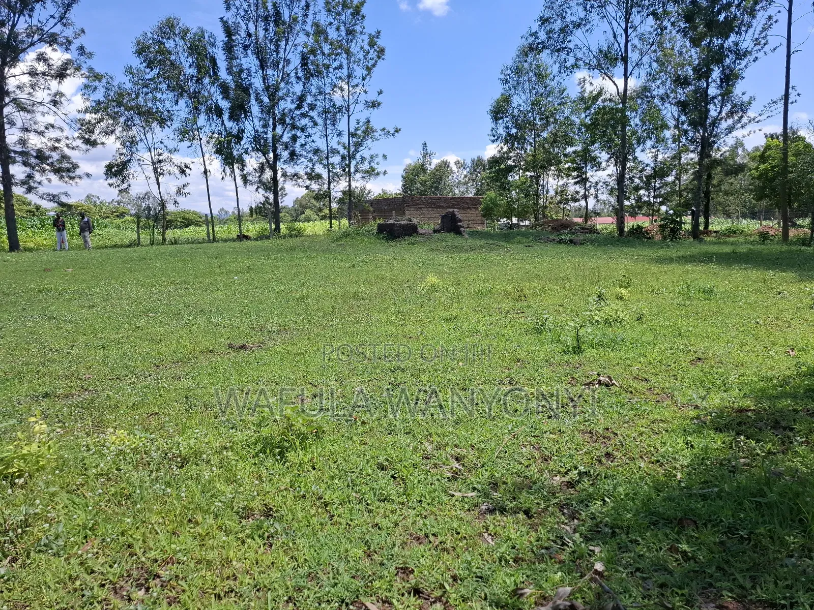 100 by 100 Kocholia Busia