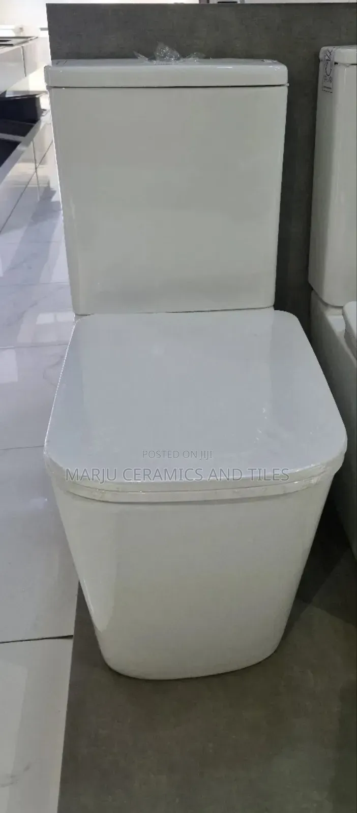 2 Piece Toilet