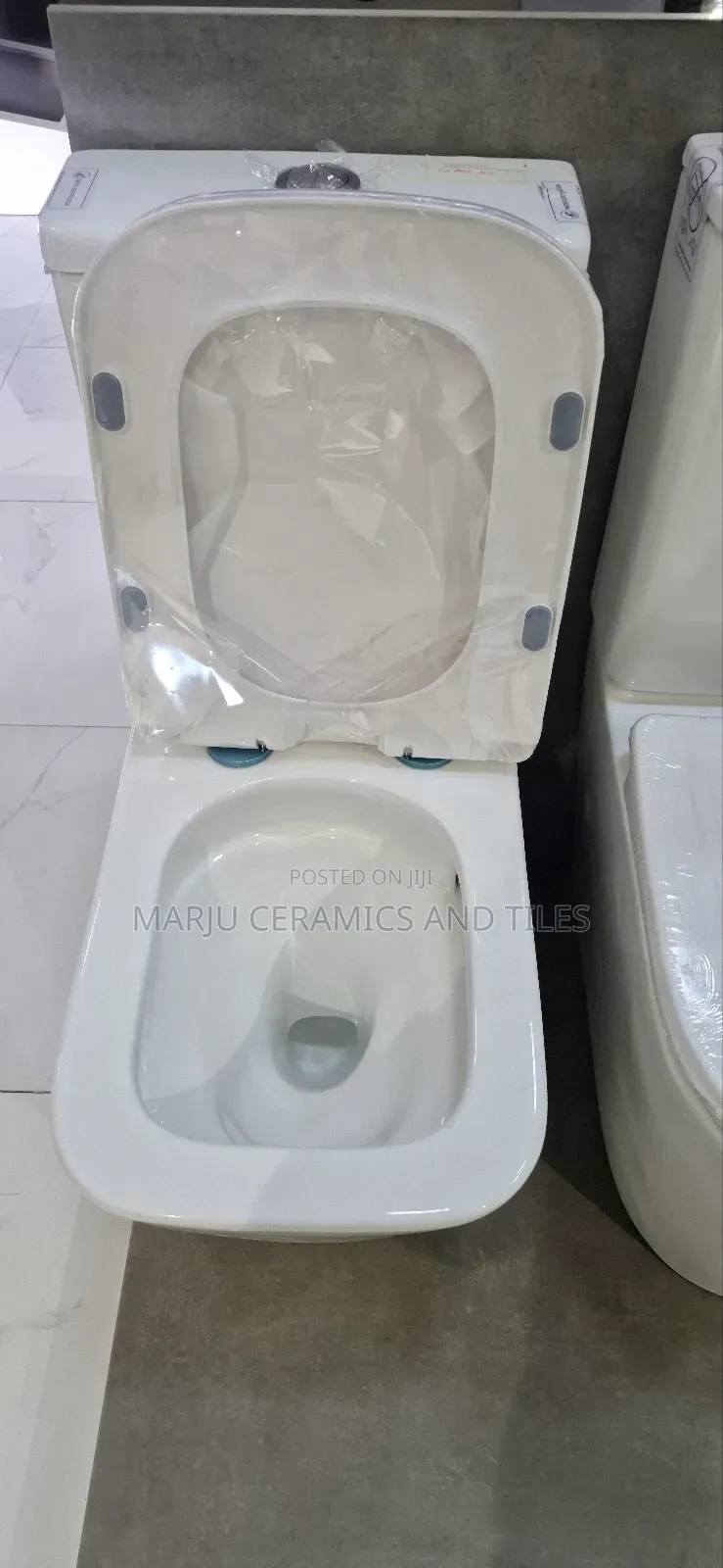 2 Piece Toilet