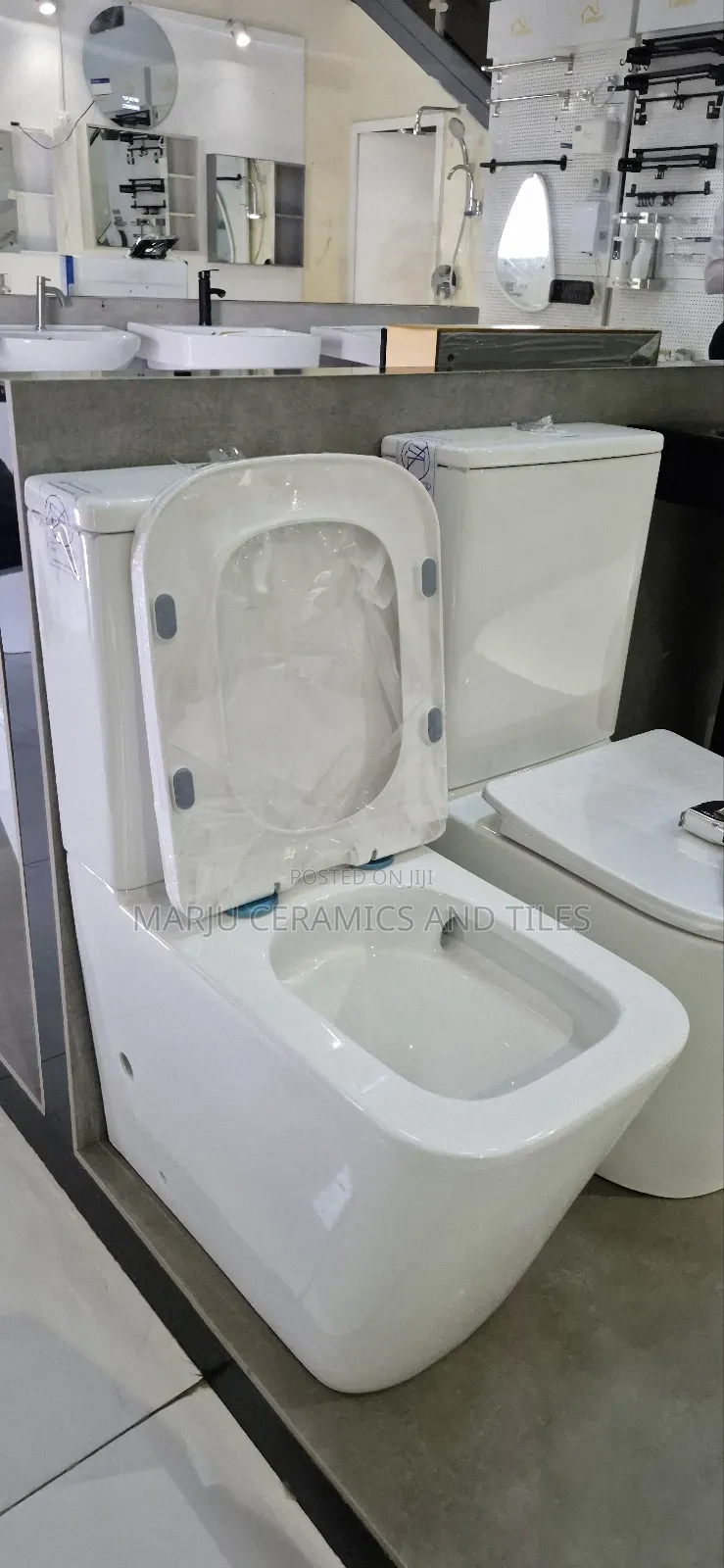 2 Piece Toilet