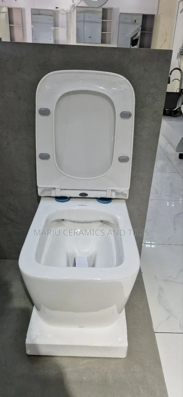 Wall Hung Toilet