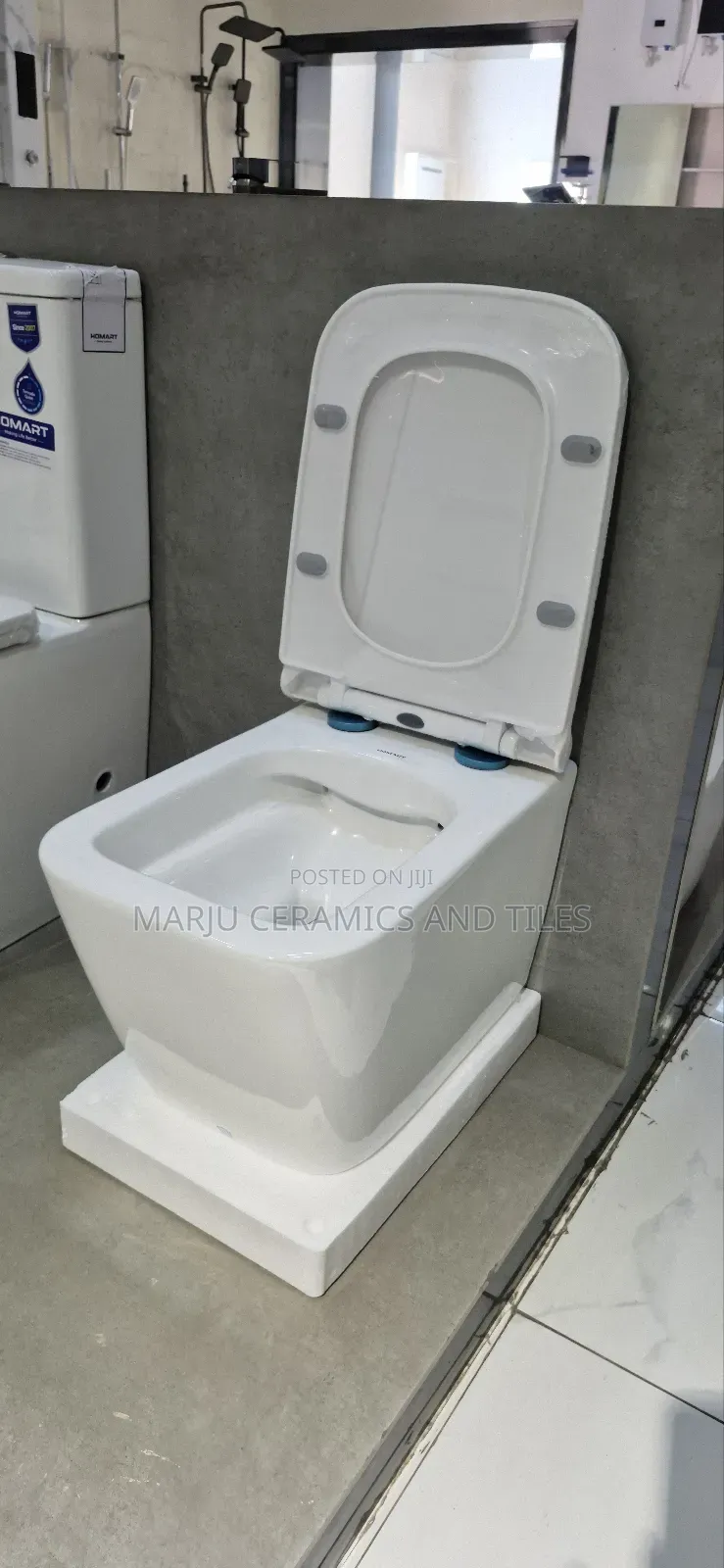 Wall Hung Toilet