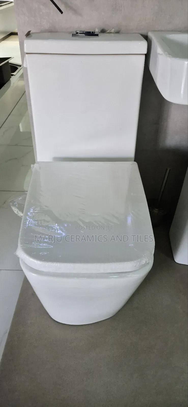 1 Piece Toilet