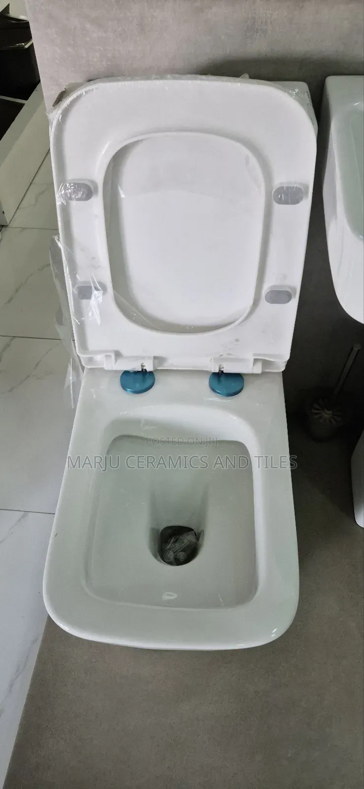1 Piece Toilet