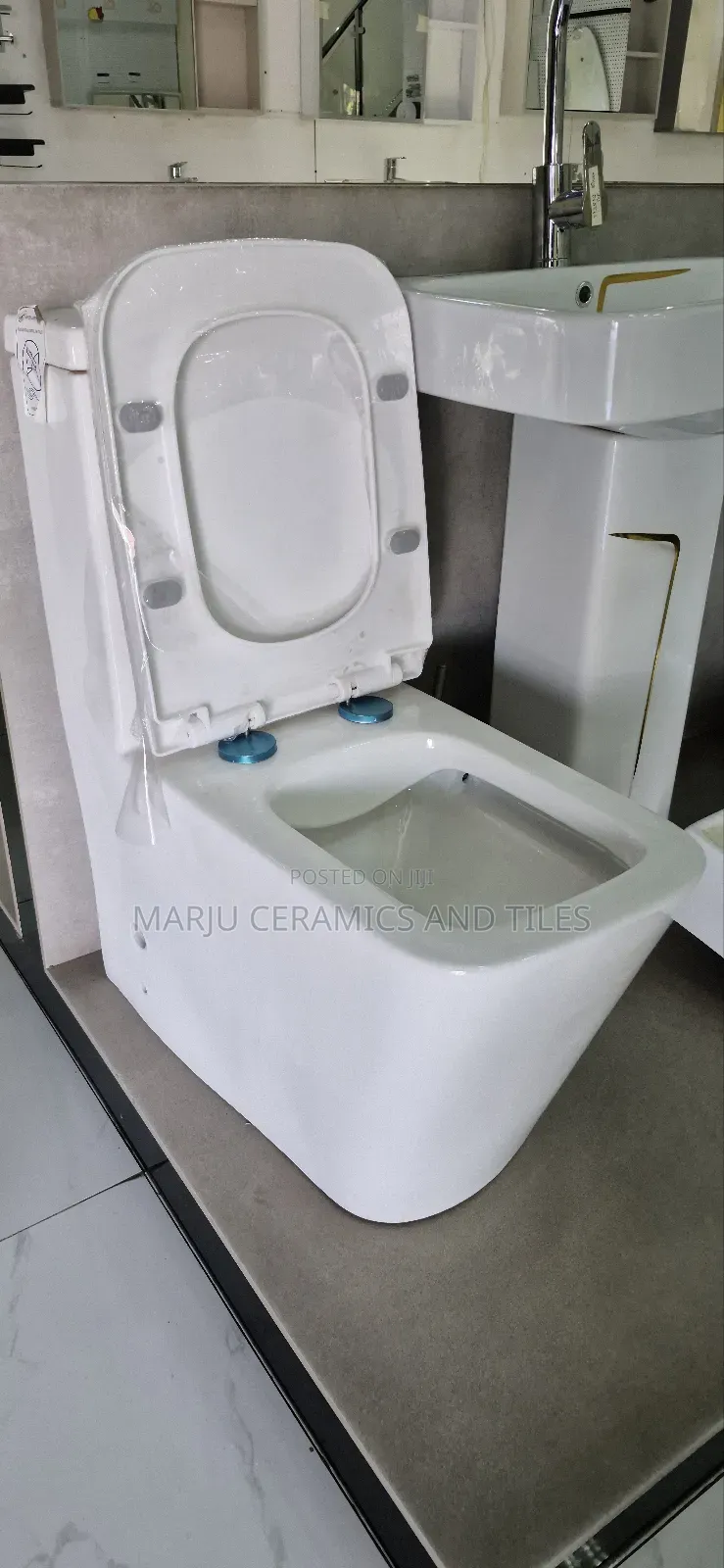 1 Piece Toilet