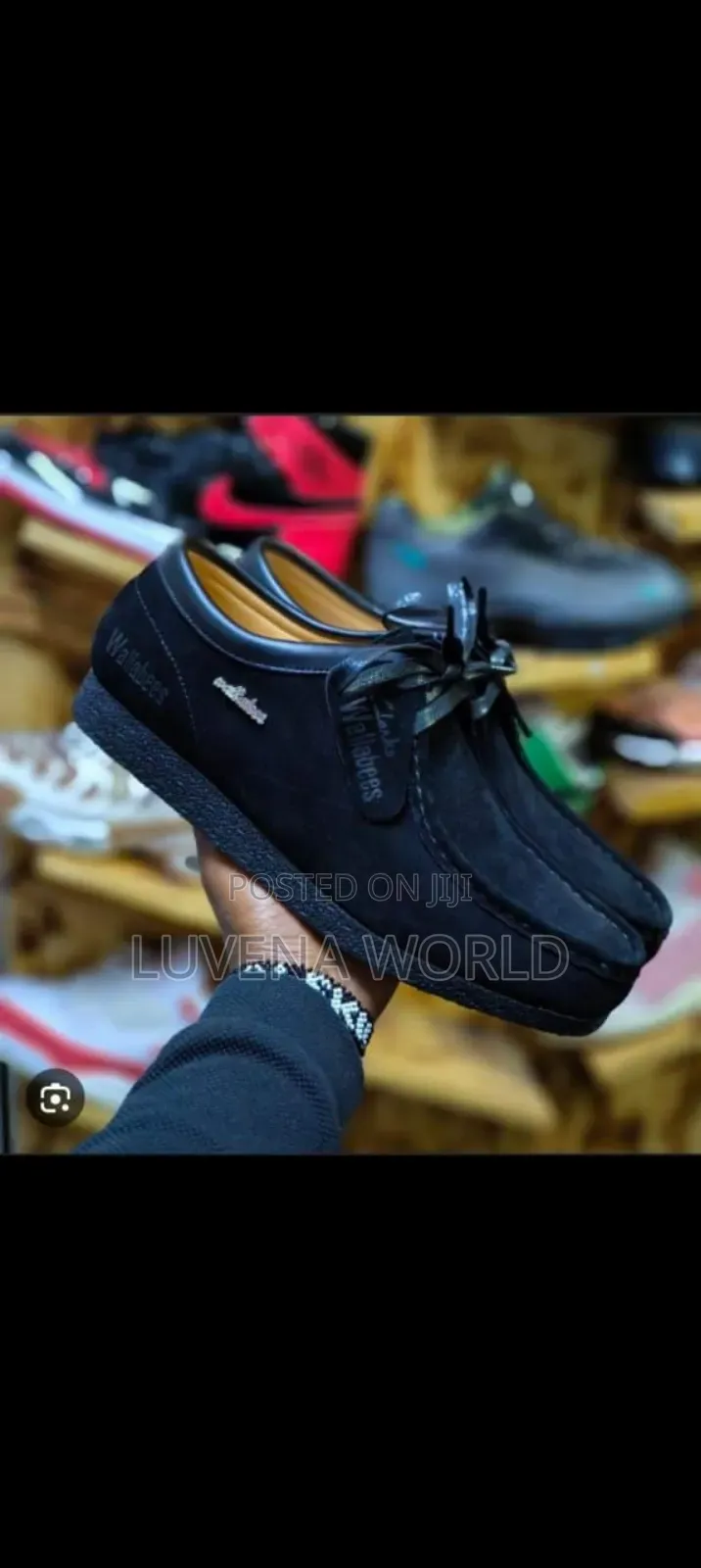 Grey And Black Wallabies