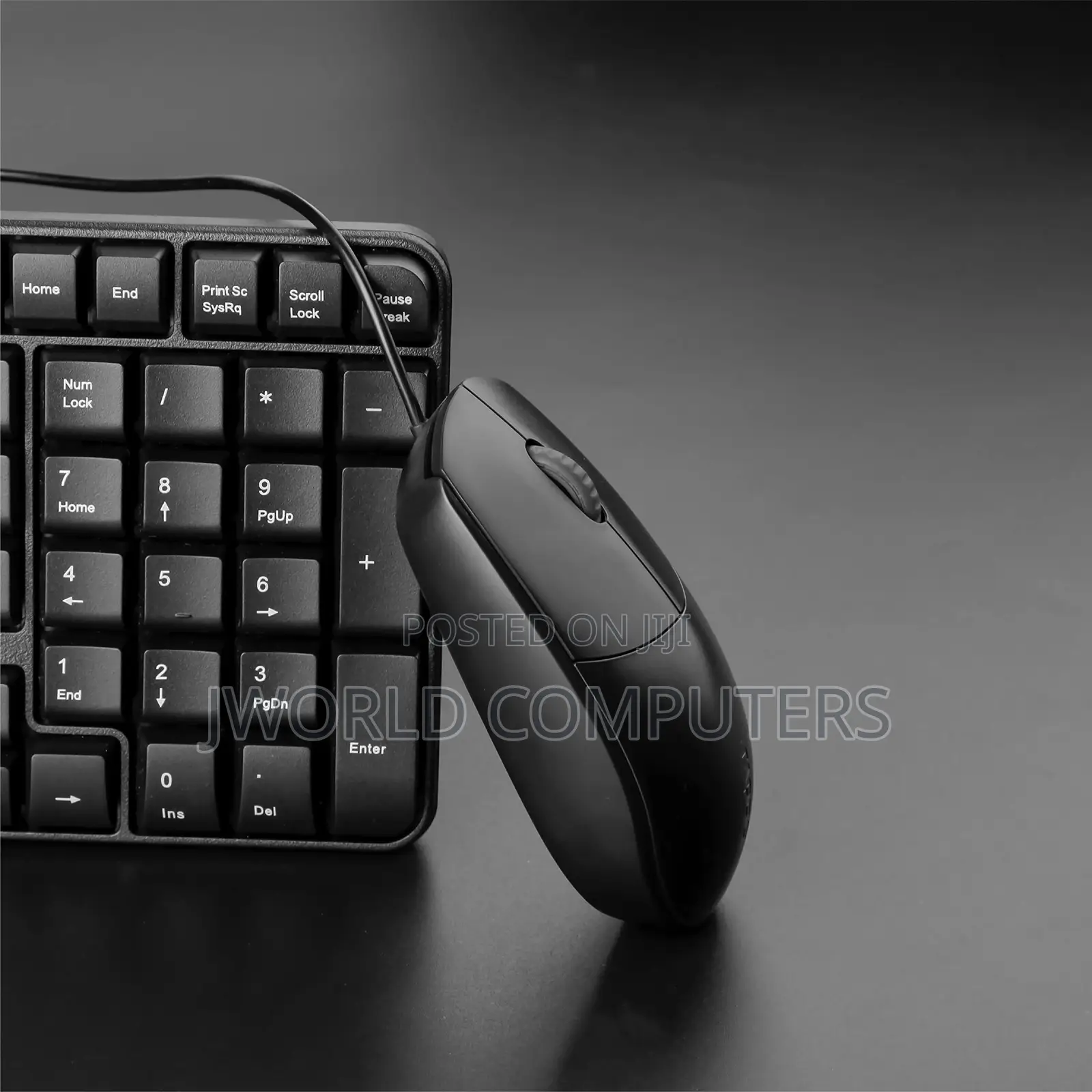 Rapoo Wired Optical Mouse N100 - Blackjiji