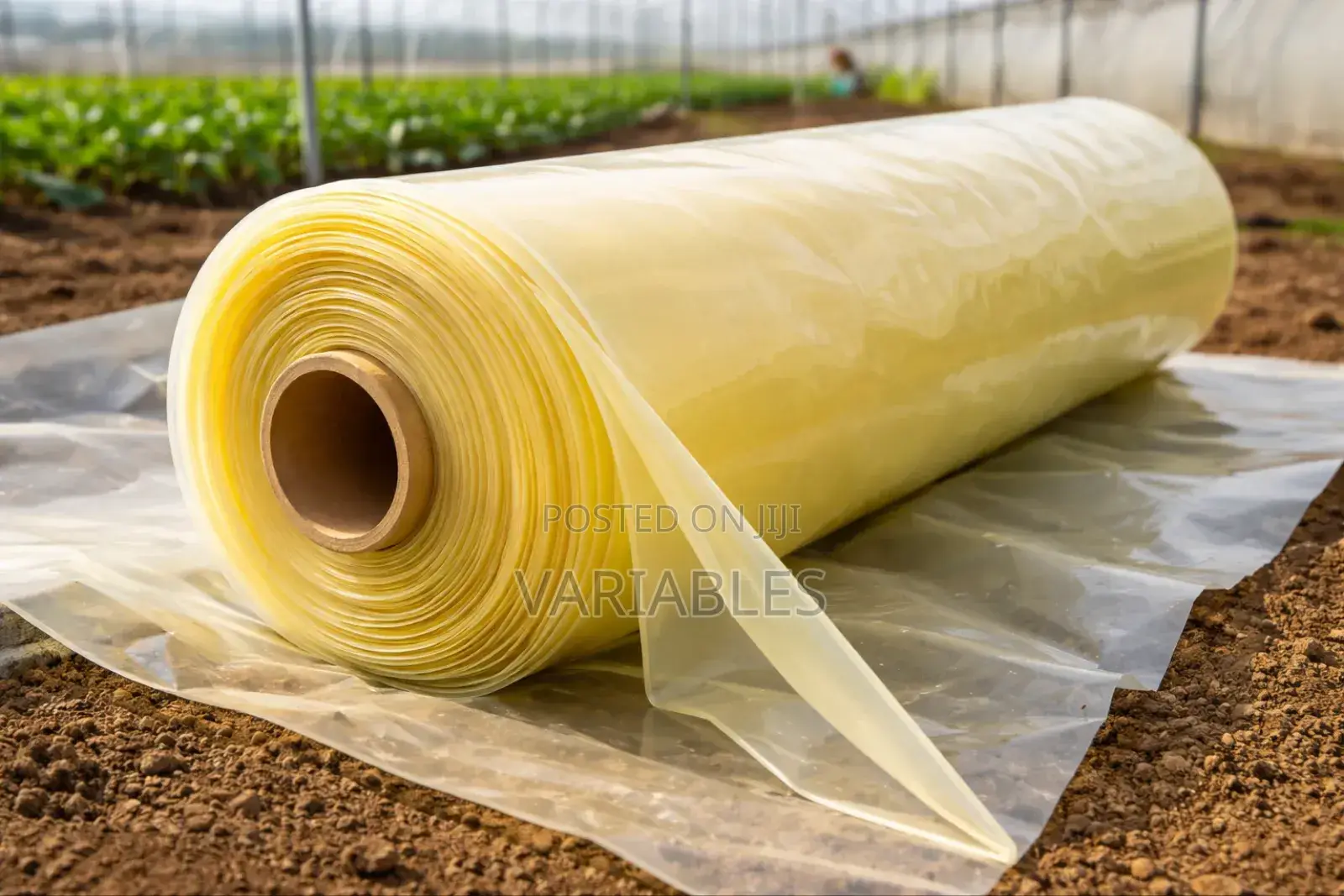 Greenhouse Polythene Helps With Temperature Regulation in Greenhouses