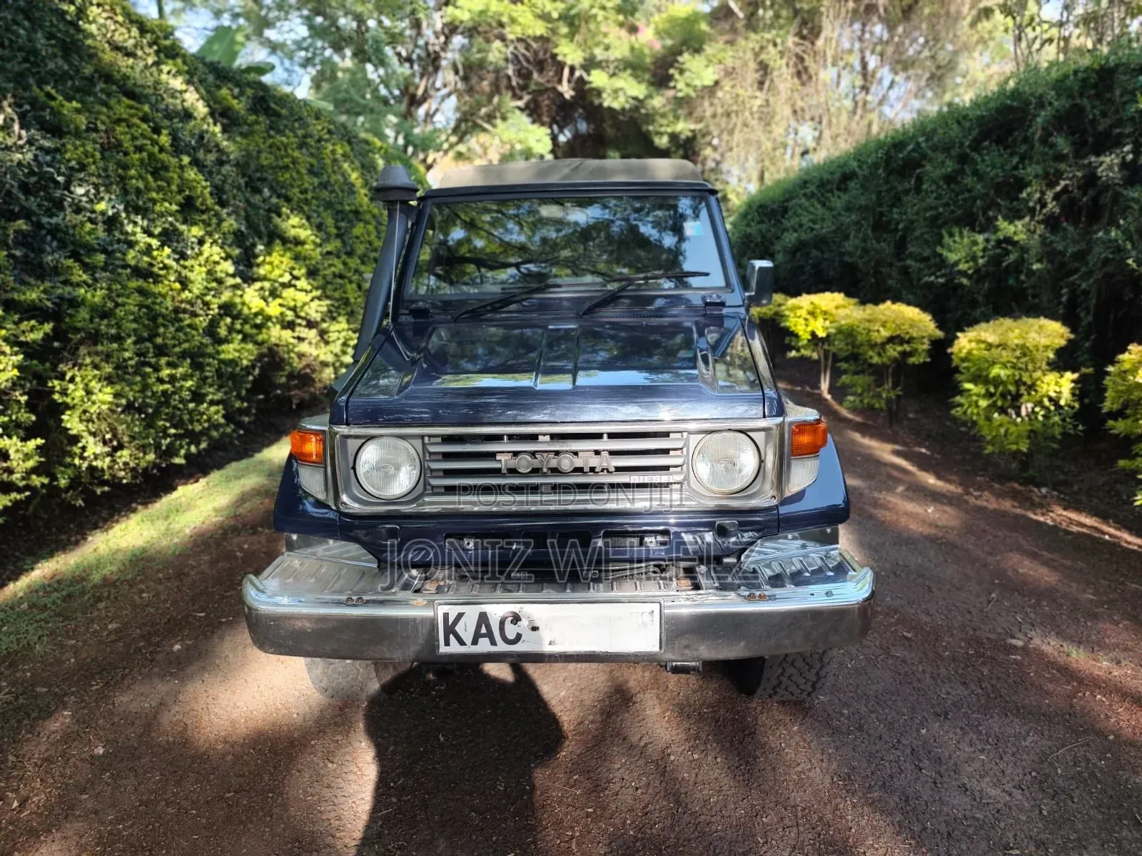 Toyota Land Cruiser 80 Wagon 4.2 D 1993 Blue