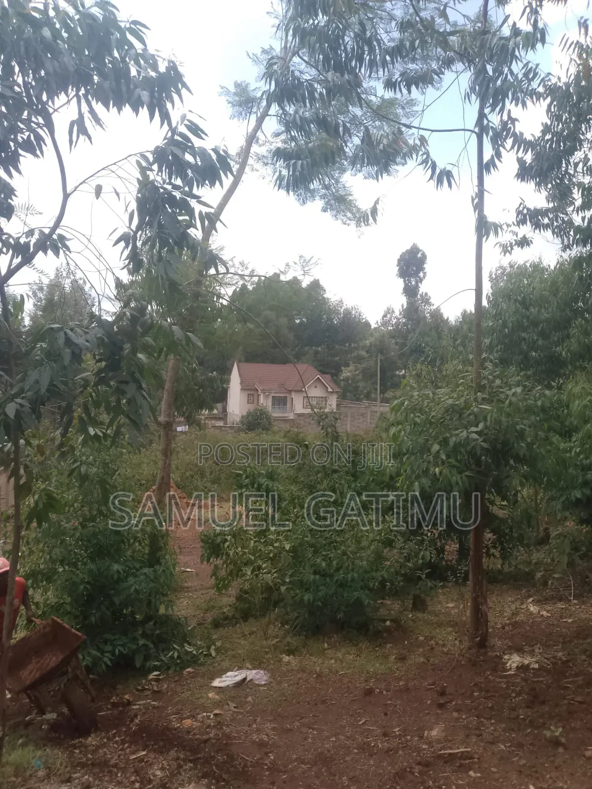 100/100 Plot for Sale Njoro Banana Kiambu