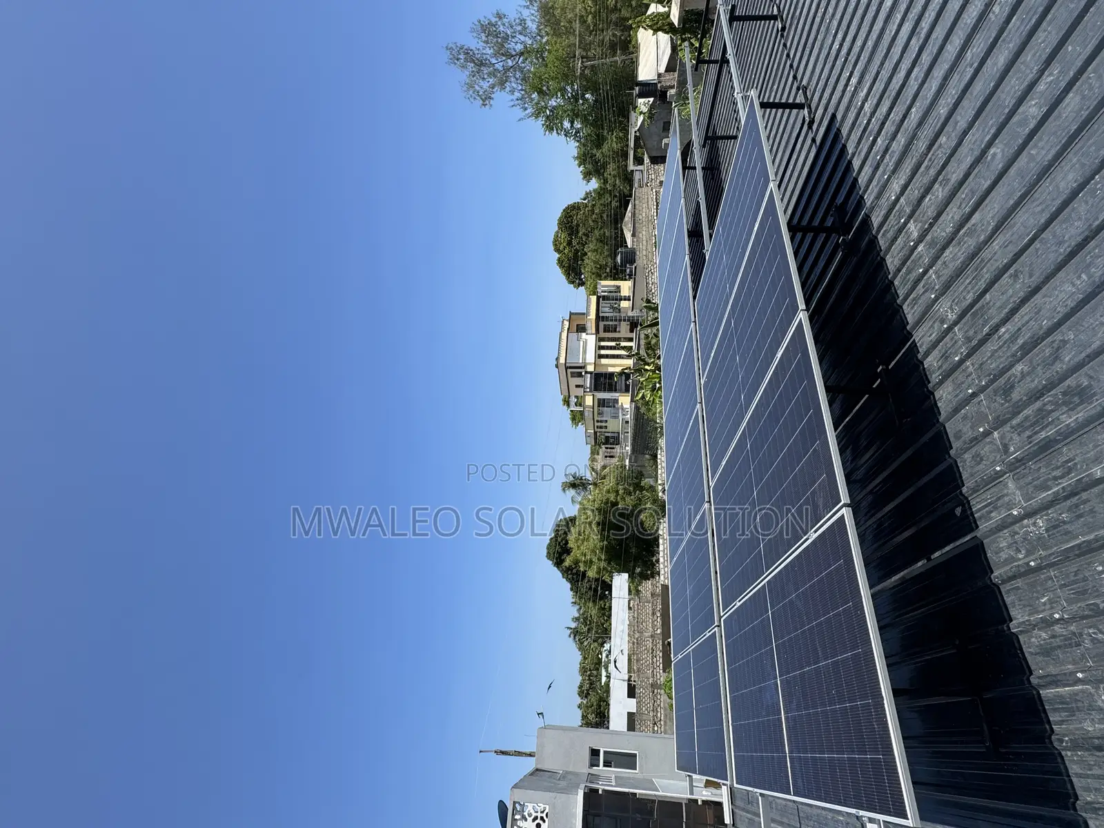Solar Panel Jinko 585