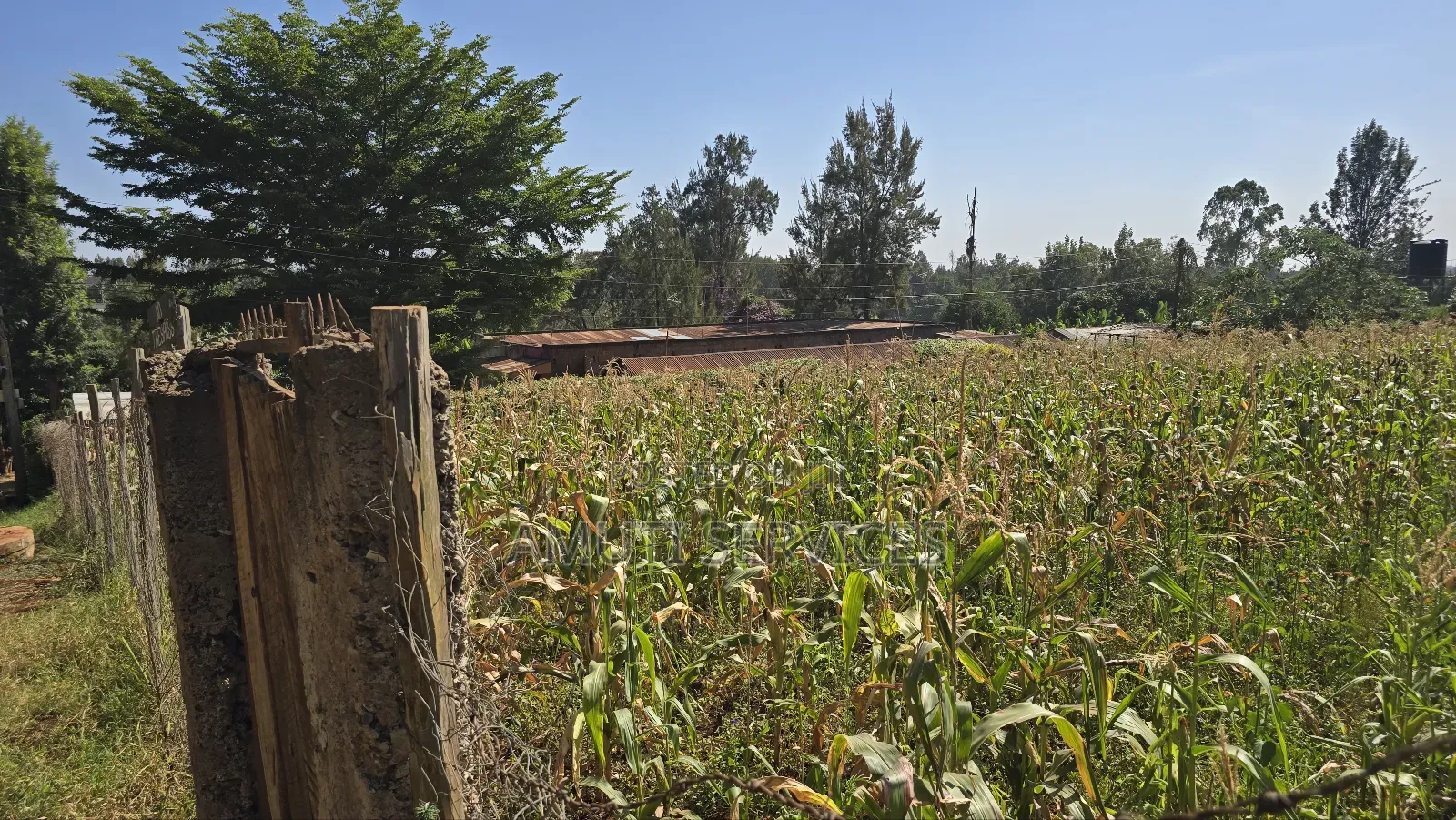 Thindigua: Kiambu Rd. 3/4acre for Sale