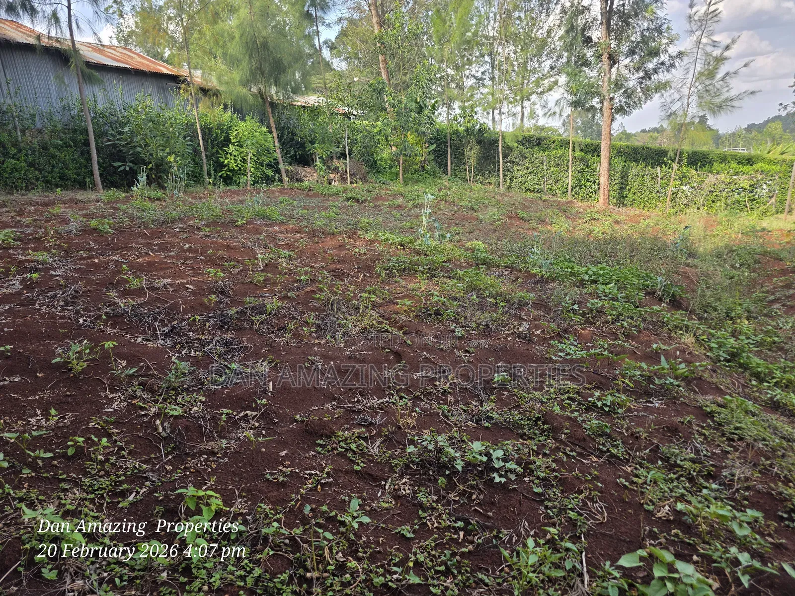 1/4 Acre Piece of Land for Sale in Ngong Ololua Near Prayer Centre