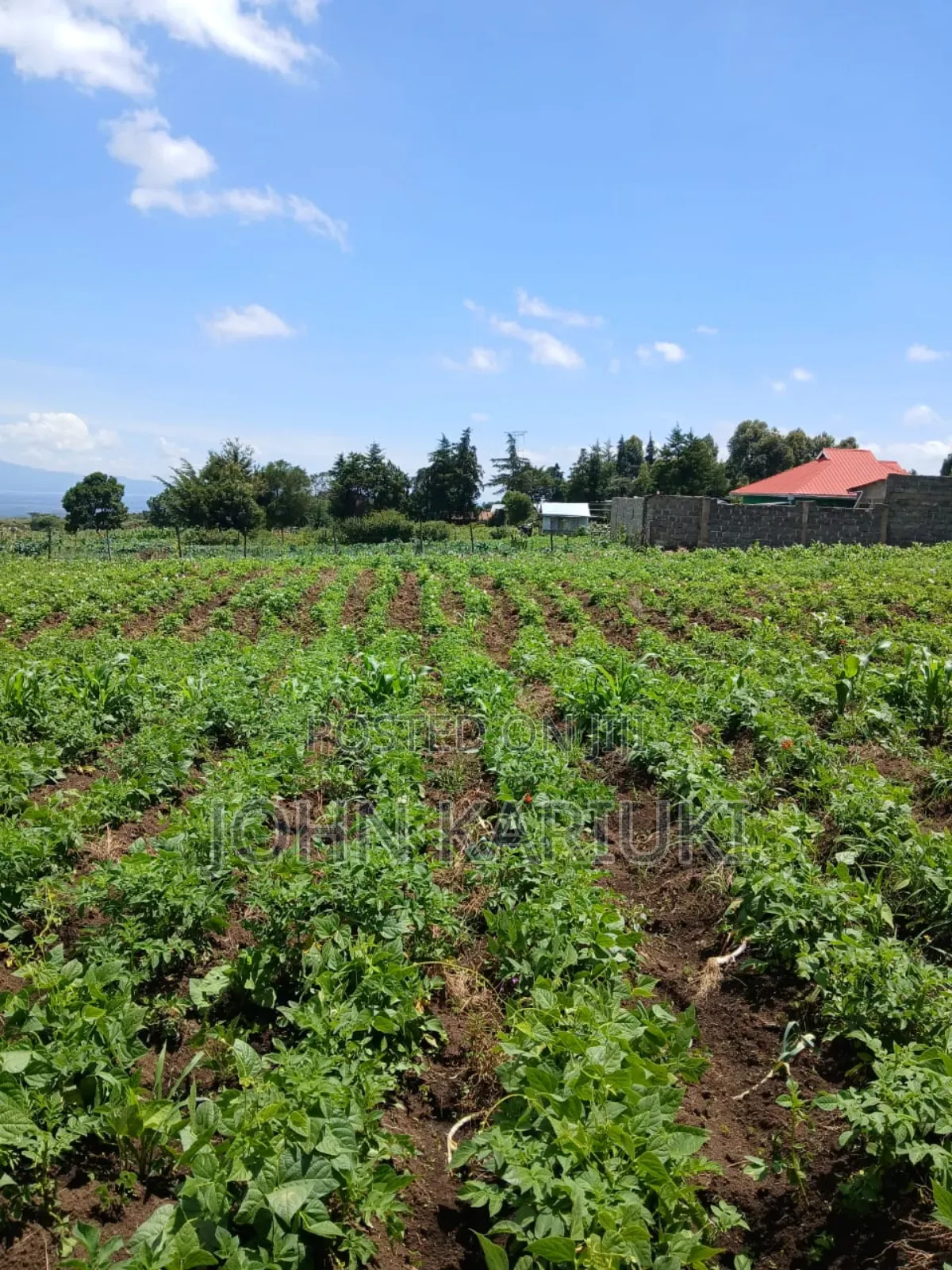 3 Acres of Land in Naivasha Karai With View of Lake Naivasha