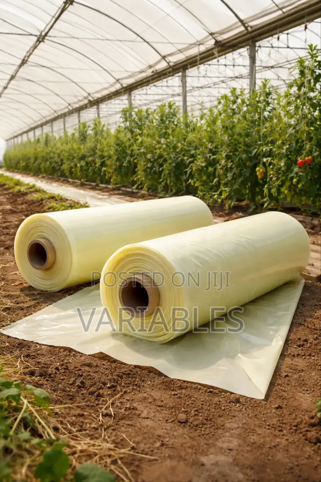 Greenhouse Polythene Creates a Stable Growing Environment Year-Round