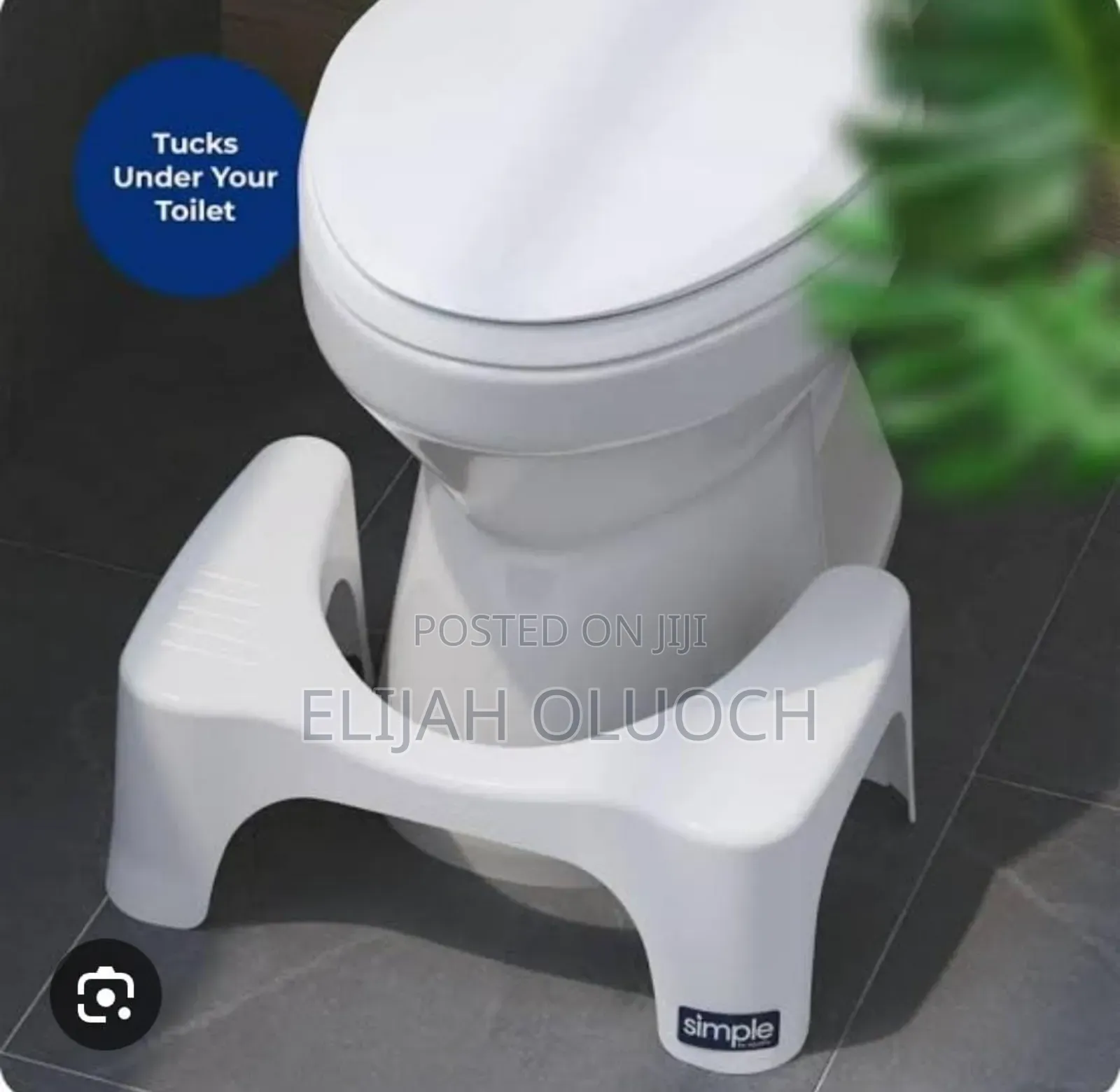 Toilet Squat Step  On A Modern Toilet Seat.