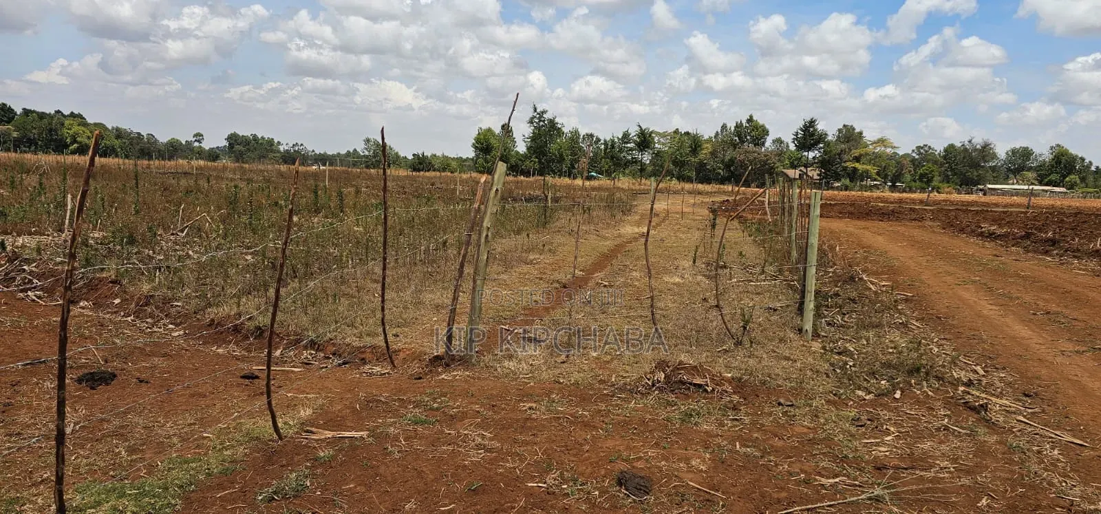 Freshly Subdivided Plots for Sale Illula Eldoret Limo