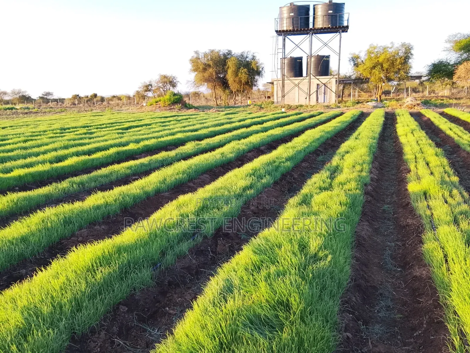 Open Irrigation System