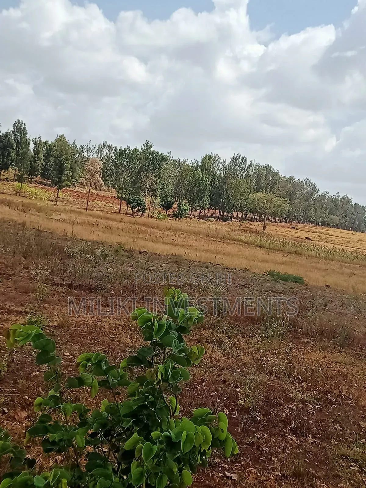 14 Acres of Land on Sale at Kirinyaga