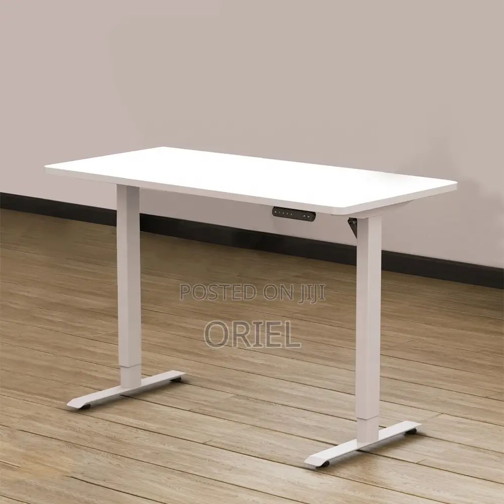 Office Desk : 1.6m Office Electric Height Adjustable Computer Desk