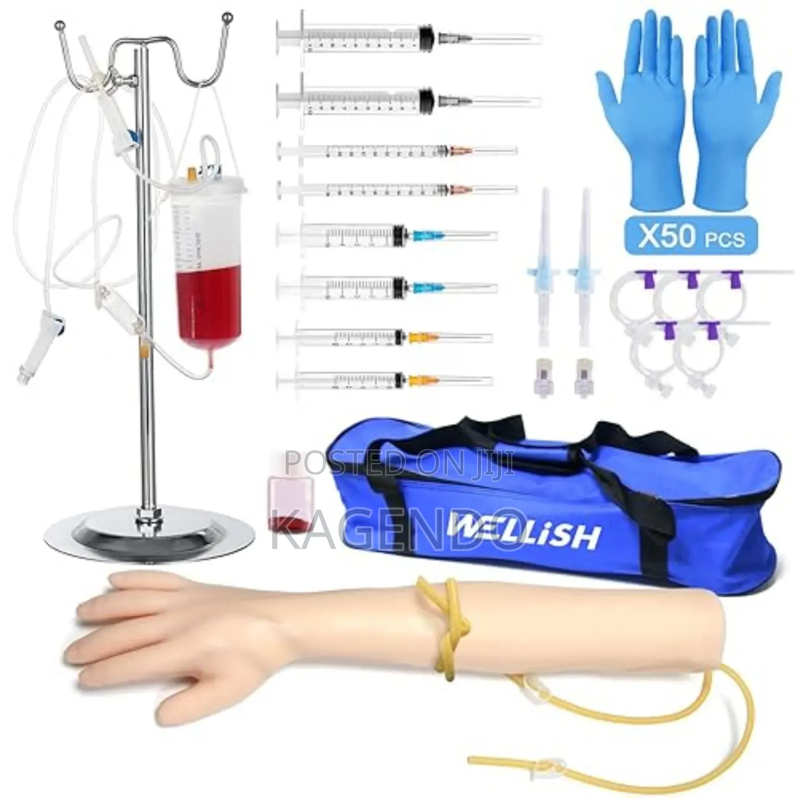 Venipuncture Intravenous Training Model