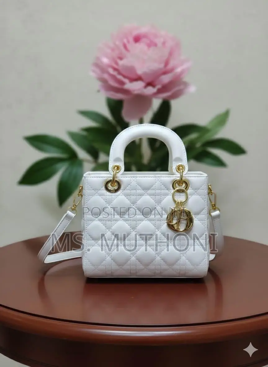 Stylish Quilted Lady Dior Mini Bags