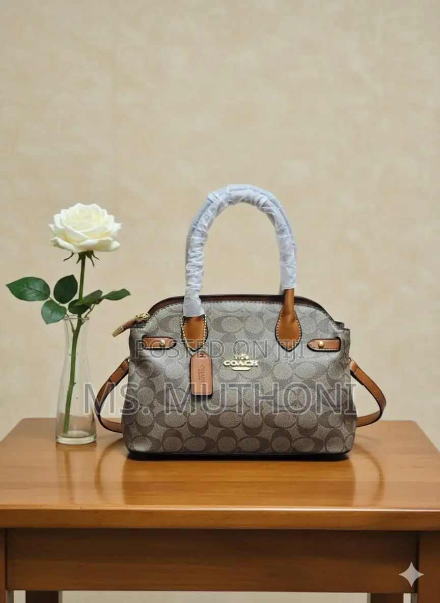Coach Empire Carryall Dupe Handbags