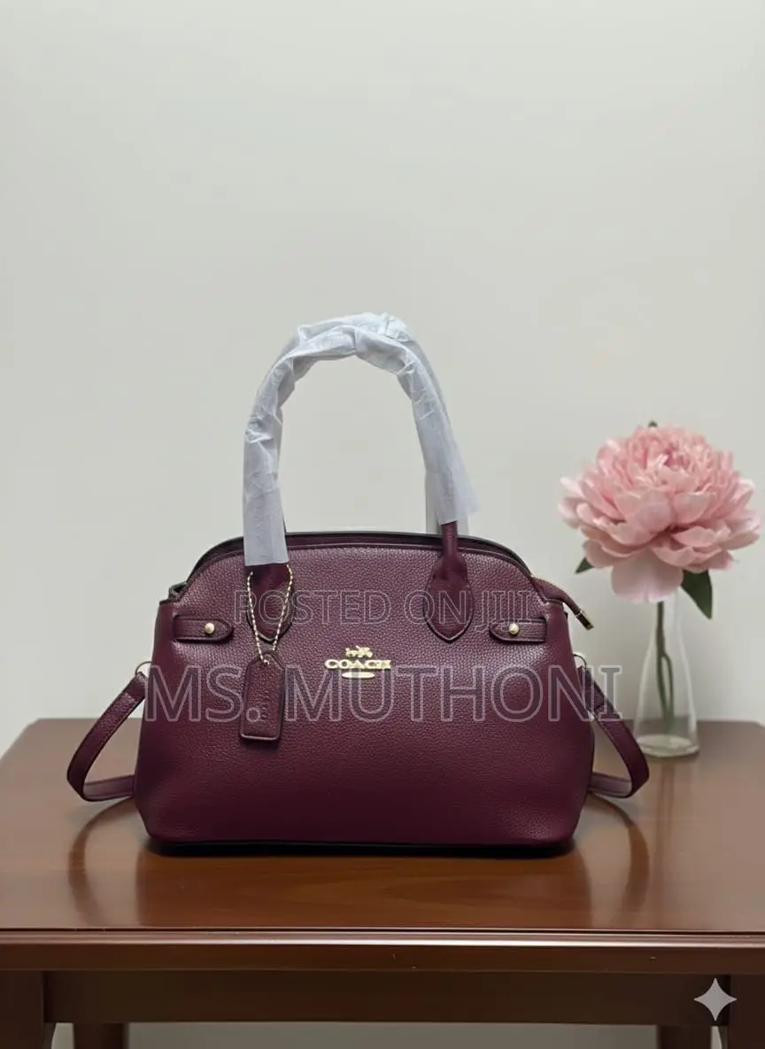 Coach Empire Carryall Dupe Handbags