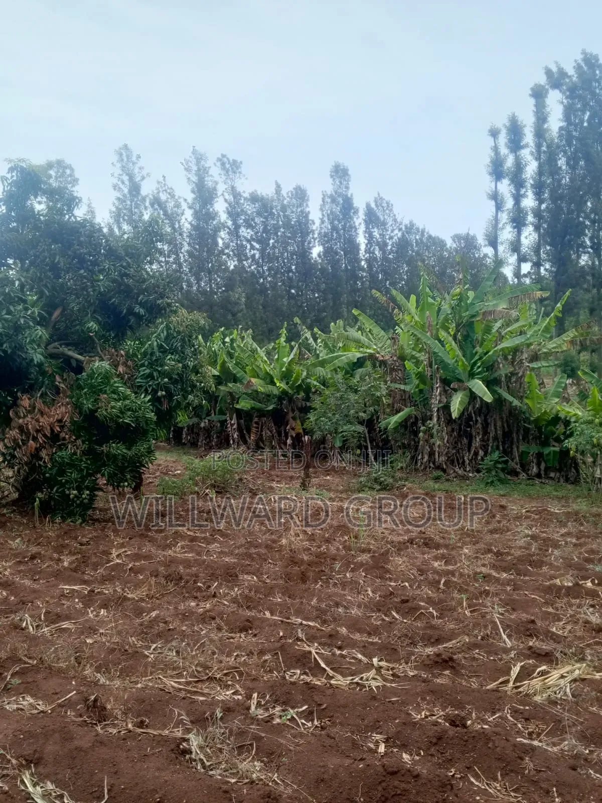 5 Acres Marua Nyeri