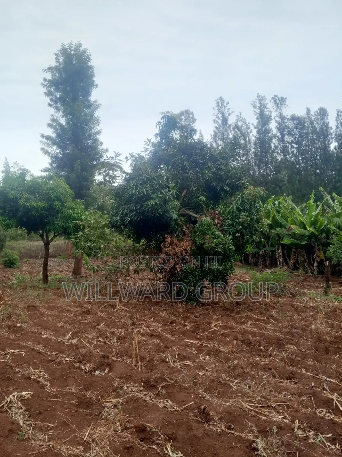 5 Acres Marua Nyeri