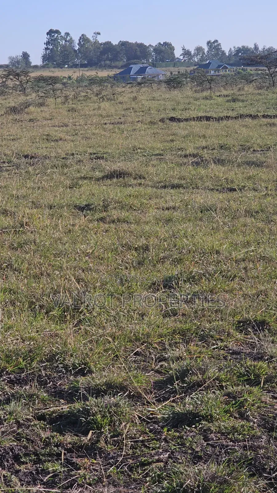 1/8 Acre Plot for Sale in Kiserian