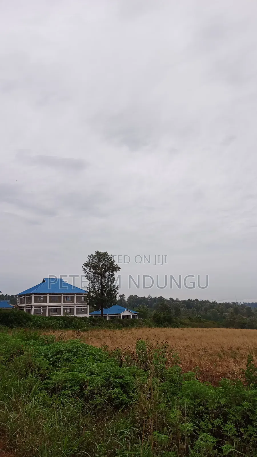 Prime Land on Sale 0.6072 Ha Neighbors Gretsa University, Makuyu