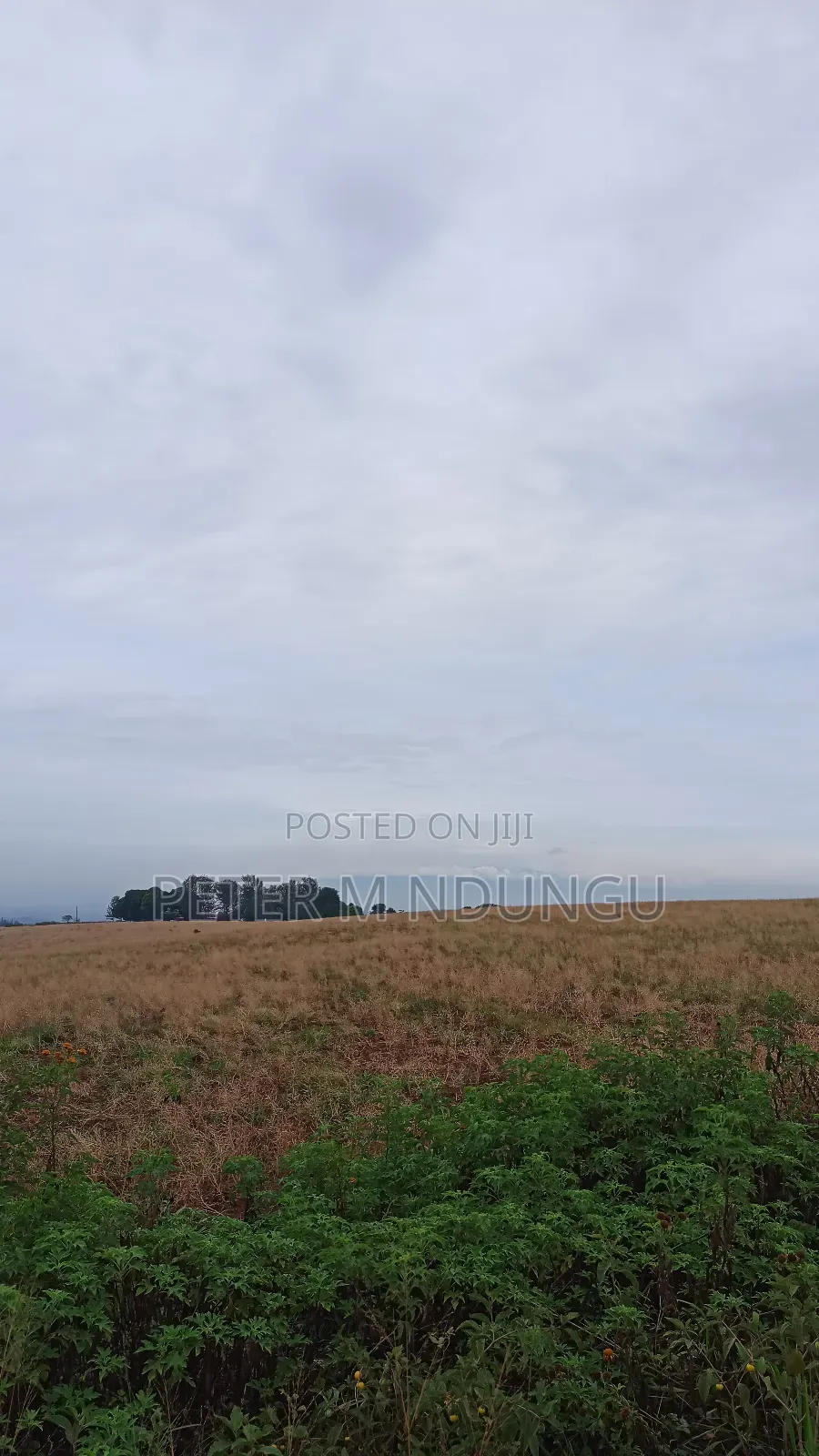 Prime Land on Sale 0.6072 Ha Neighbors Gretsa University, Makuyu