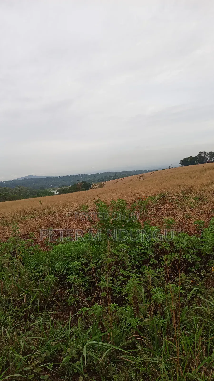 Prime Land on Sale 0.6072 Ha Neighbors Gretsa University, Makuyu