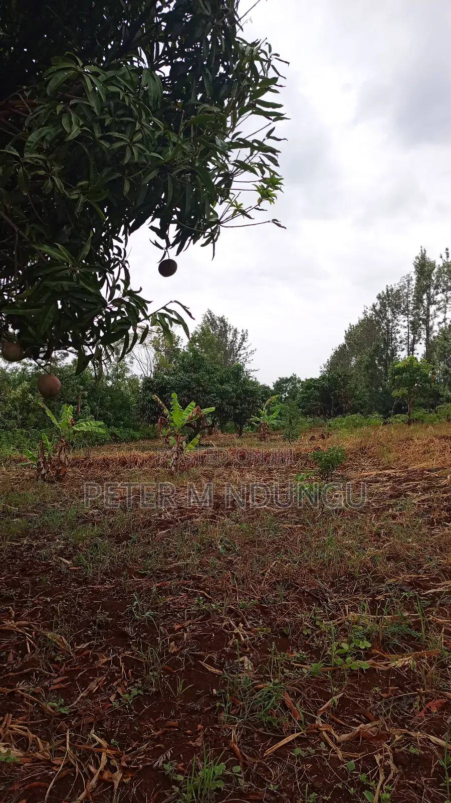 Prime Land on Sale 0.6072 Ha Neighbors Gretsa University, Makuyu