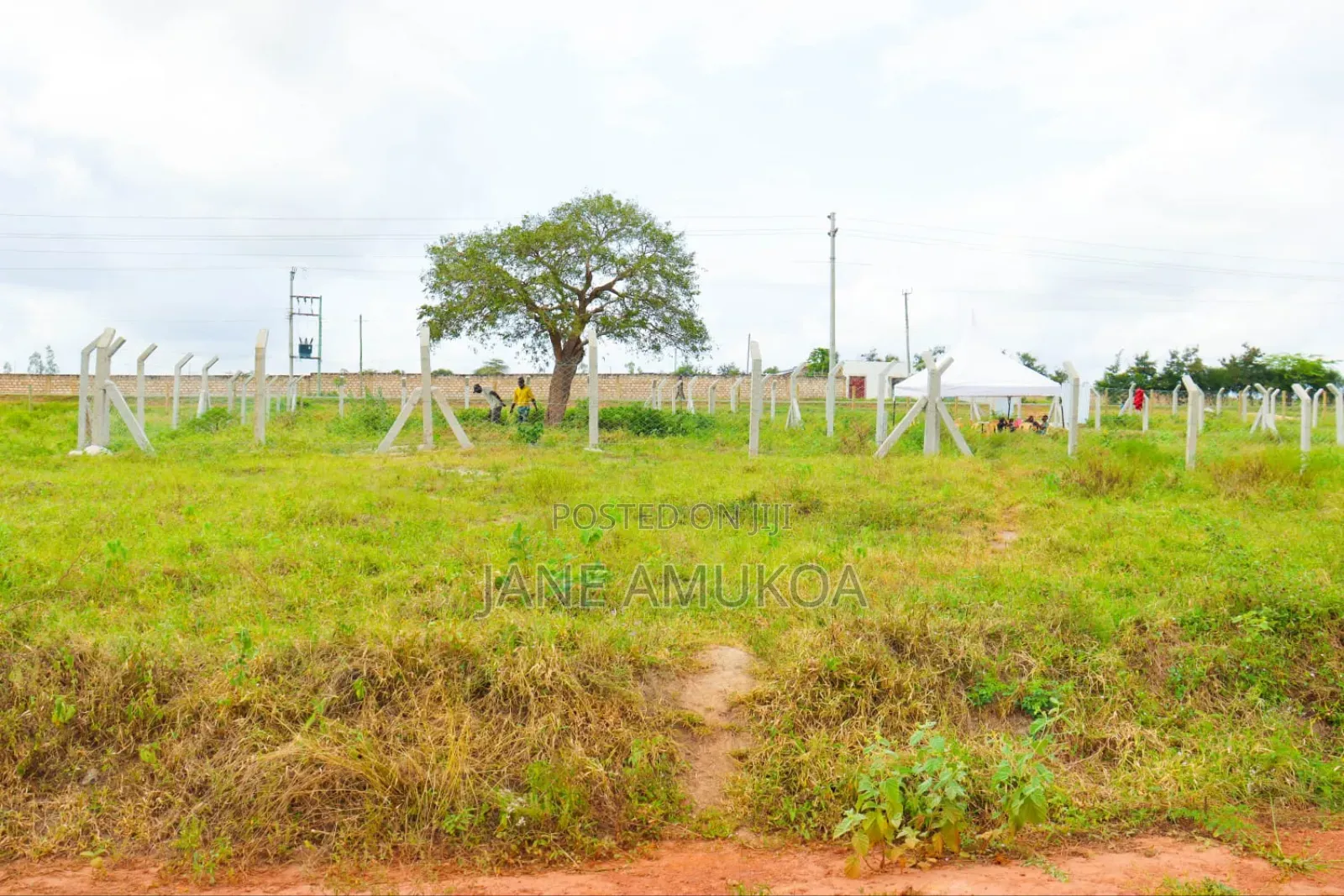 50 X 100 Plots Mariakani