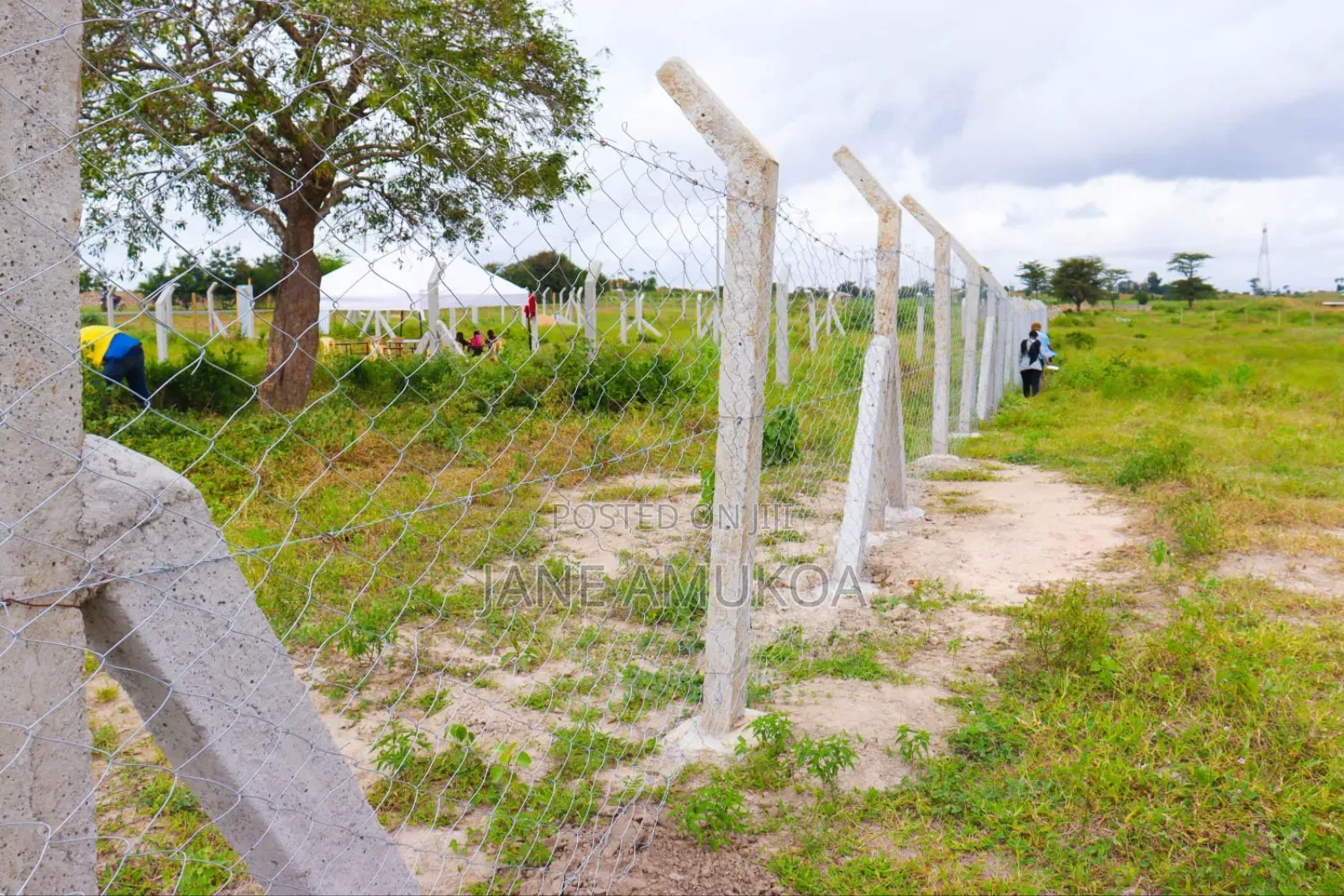 50 X 100 Plots Mariakani