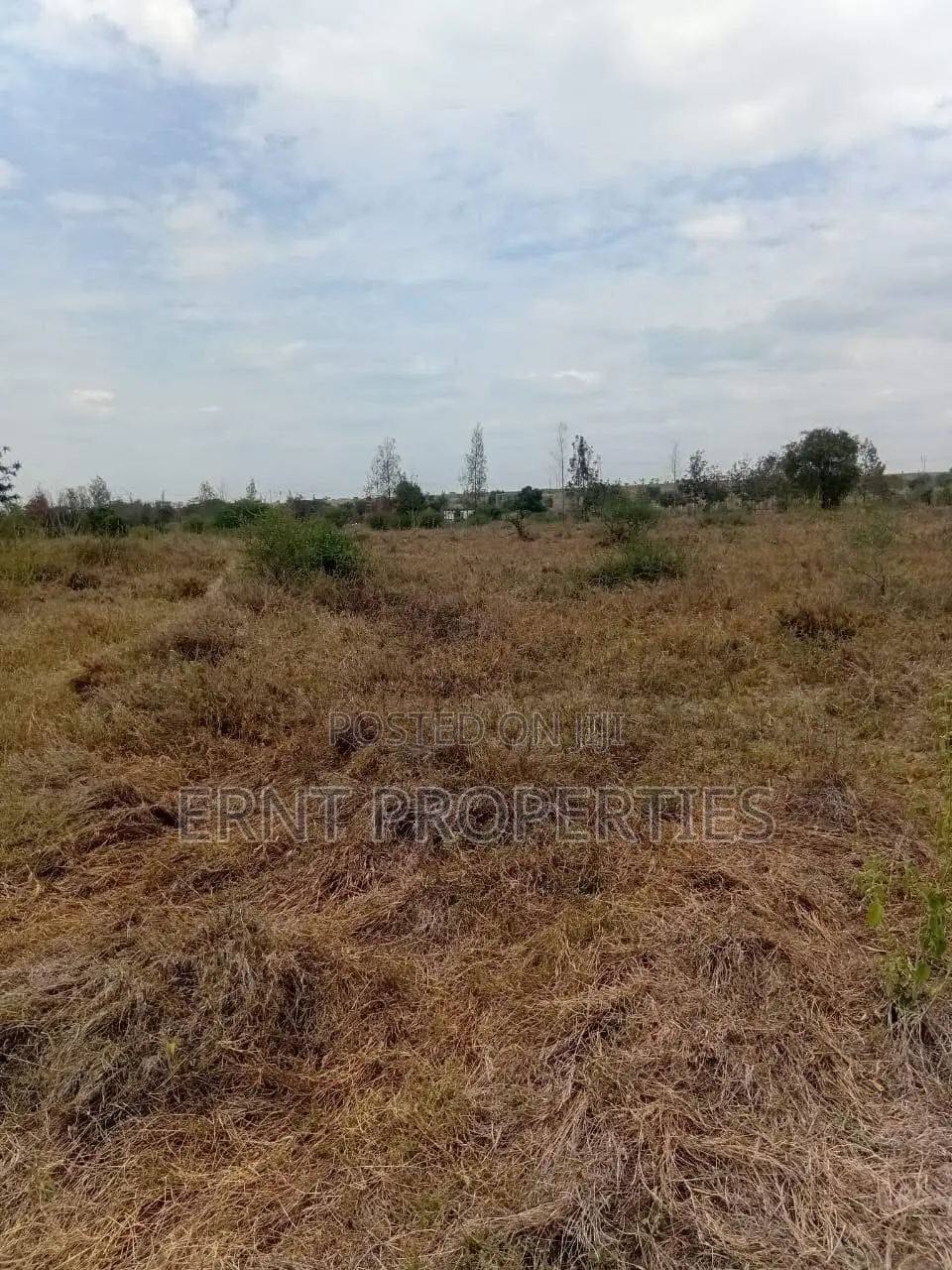 50 By 100 Plots – Kinanie