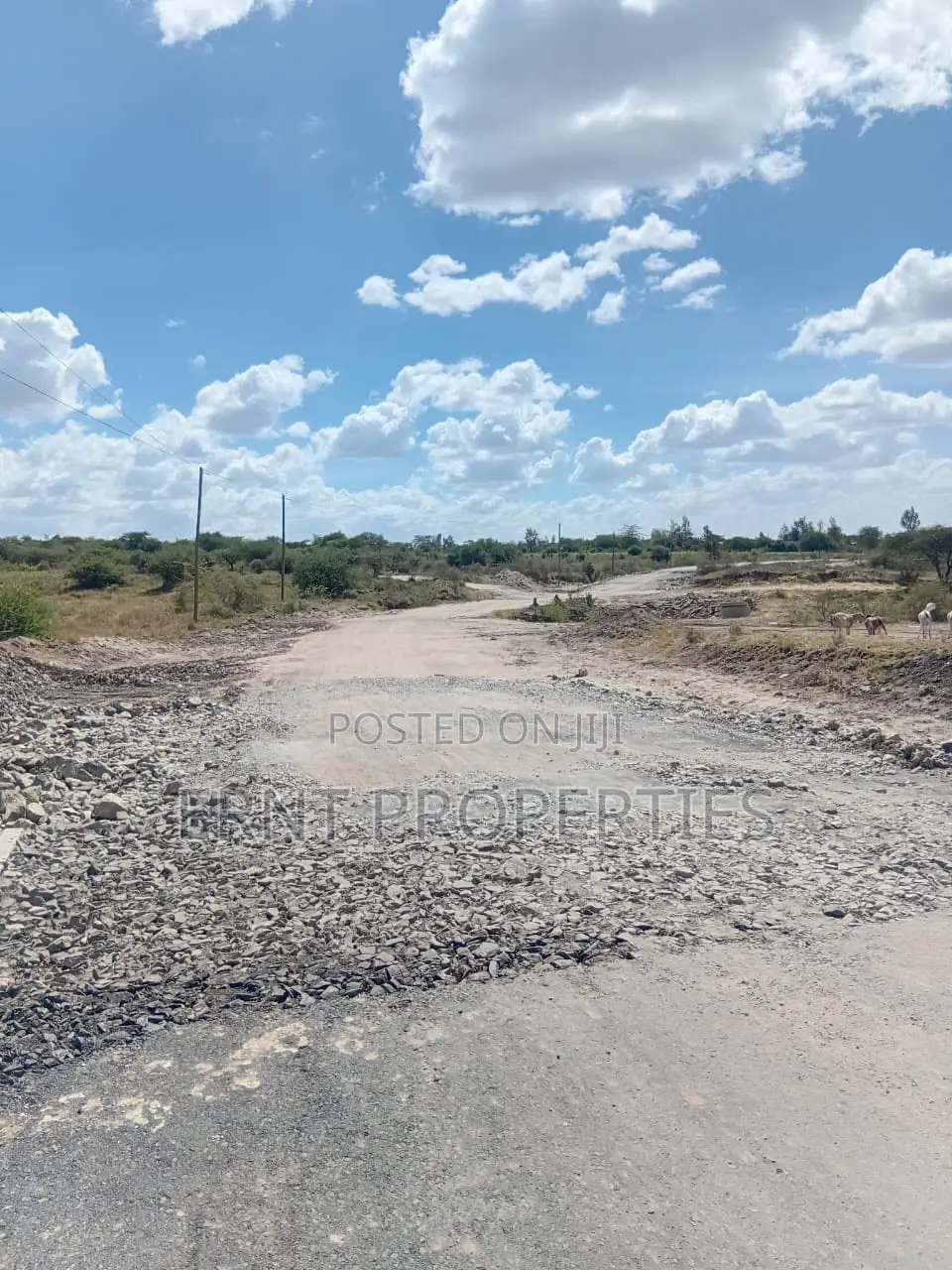 50 By 100 Plots – Kinanie