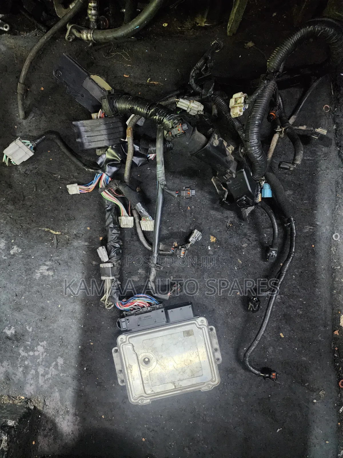 Nissan Patrol,Navara and Caravan (Zd30) Harness Complete